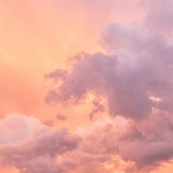 Meet your Posher, Alexa - Picture 1 of 1